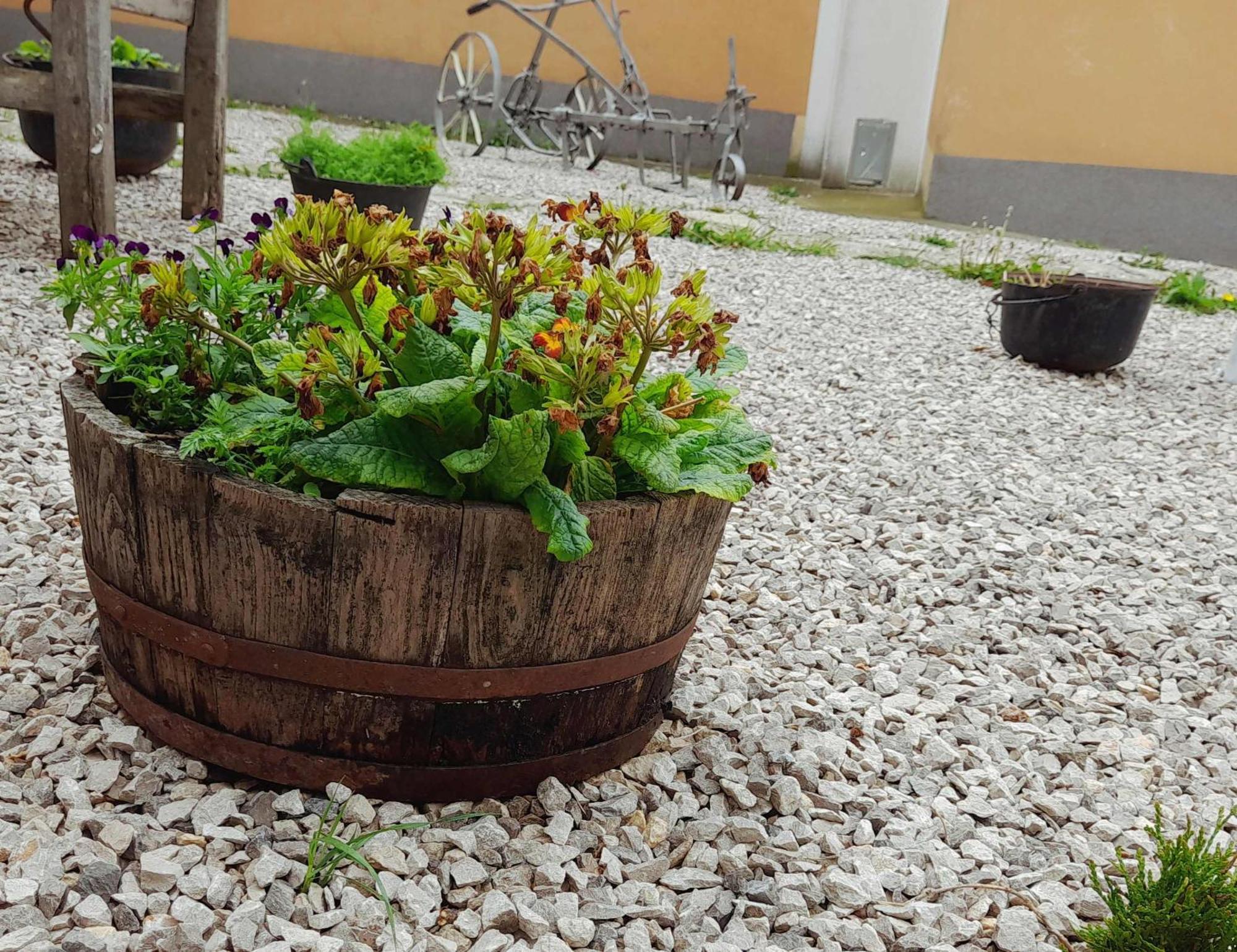 Ferienwohnung House Lana Kršan Exterior foto